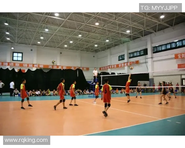 专访刘强:探寻排球背后的成功秘诀与发展之路 专访刘强:探寻排球背后的成功秘诀与发展之路